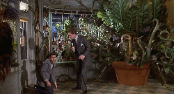 hogwarthoggle:every dvd I ownLittle Shop of Horrors“On the twenty-third day of the month of Septembe