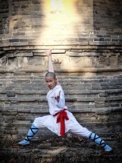 feiyueonline:    The theory of Shaolin kung