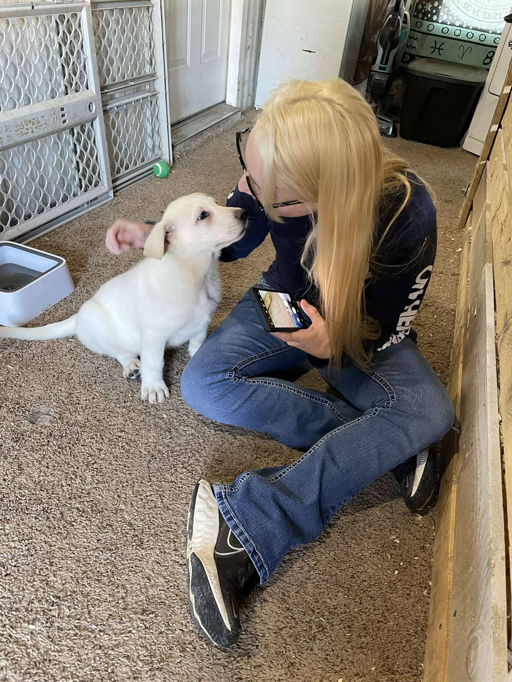 katiiie-lynn:Oops, we did it again! We’re the crazy dog people who went and got themselves another dog (yes we have 5 in total now) 😂 Please welcome Gimli, our newest little pup in the house 🥰😍💖 Astrid’s parents had another litter