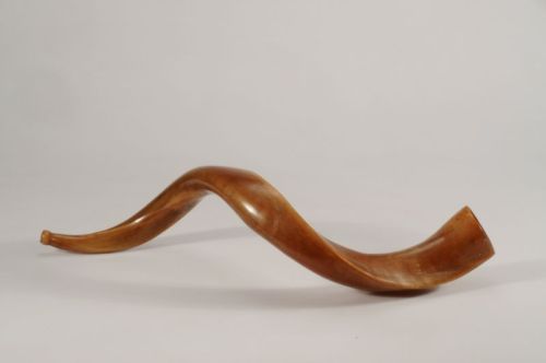Shofars:Germany, 18th century. Inscribed in Hebrew on both sides: “When Abraham looked up, his eye f