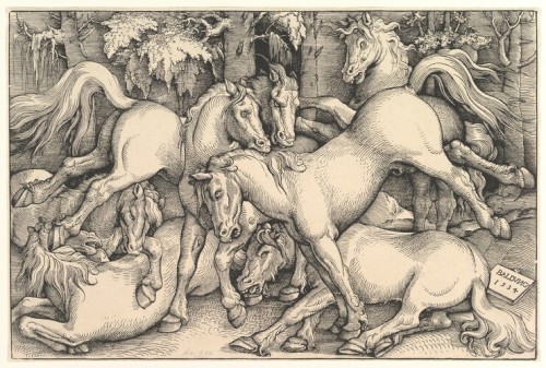 hans-baldung: Group of Seven Horses, Hans Baldung, 1534, Metropolitan Museum of Art: Drawings and Pr