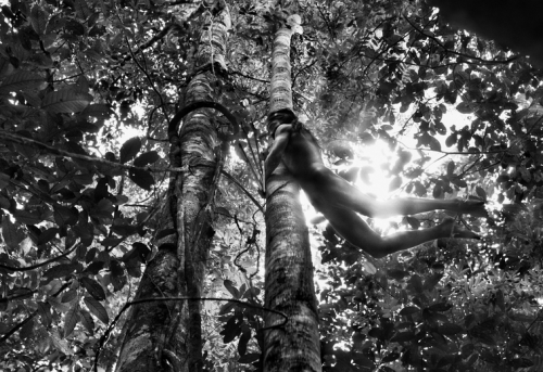 kateoplis:From The Salt of the Earth, a film by Wim Wenders & Juliano Ribeiro Salgado, celebrating the stunning photography of Sebastião Salgado.
