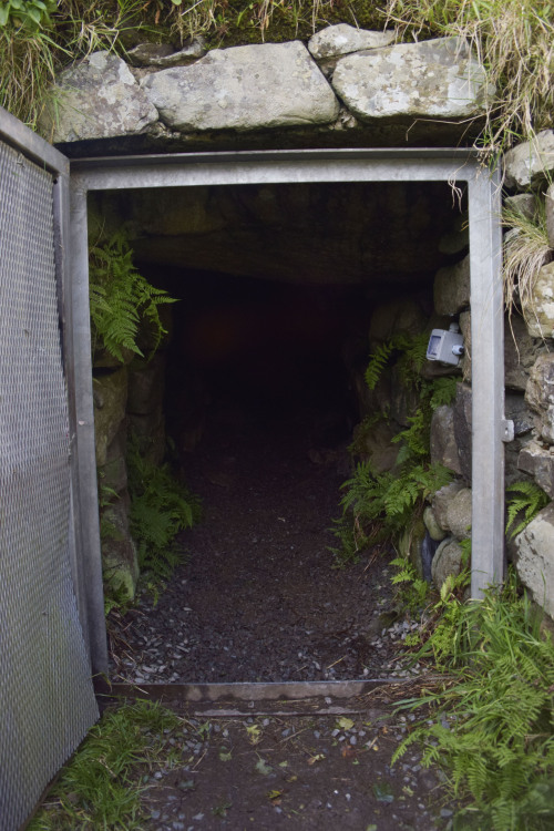 on-misty-mountains:Proleek Portal Tomb, Legananny Dolmen and Binder’s Cove SouterrainOn our sh