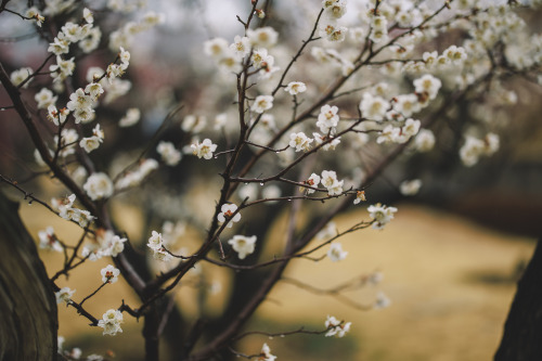 2022-03-13Suncheon Gospel ChurchCanon EOS R3 + RF50mm f1.2LInstagram  |  hwantastic79vivid