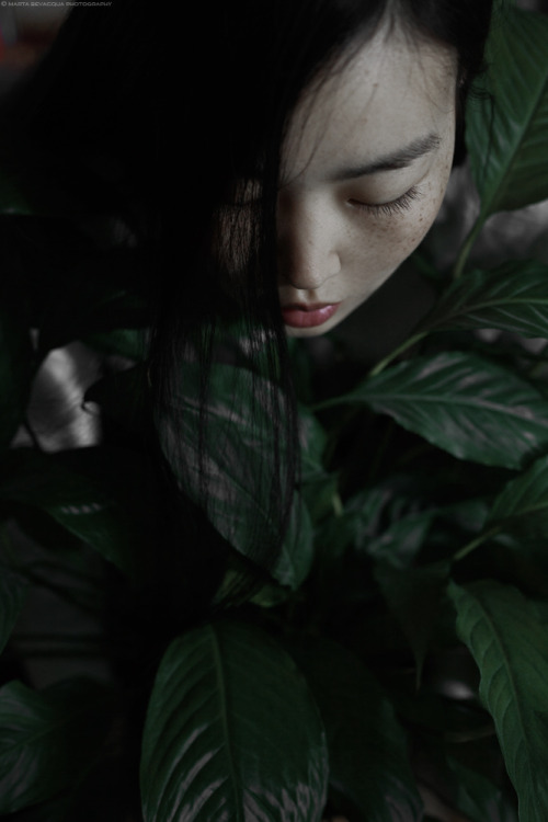 martabevacquaphotos:marta bevacqua photography