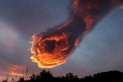 cerebrodigital:  A simple vista parece fuego, sin embargo es simplemente una nube del tipo “cumulus”. Sucedió en la isla Madeira, Portugal.  Las nubes de este tipo poseen bordes bastantes definidos y en esta ocasión los rayos del sol incidieron