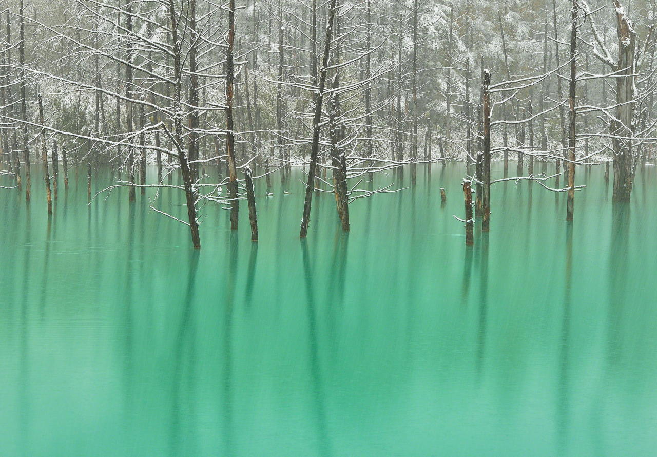 4quarius:  Magical pond that changes color with the weather  Kent Shiraishi took