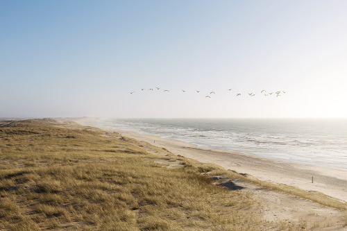 netherlands I