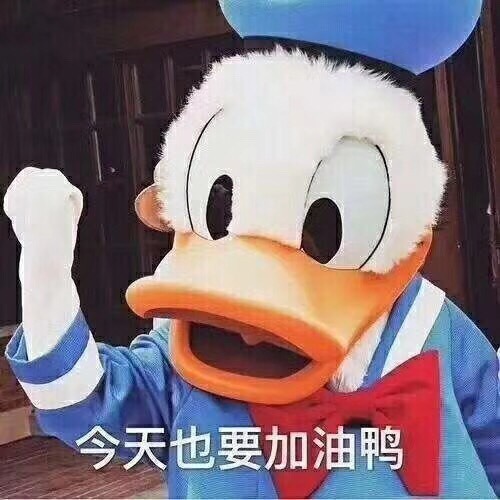 teardano: emmmmm 发呆一下午没想好假期去哪玩 还要实习好烦啊 有没有小哥哥愿意收留的 就 那种 包吃包住的 等明年去杭州工作了一定要约！