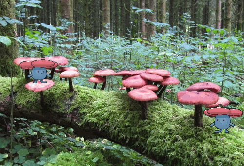relhavant:  legalmeth:  shiny-cradily:  I love vileplume   similar here  kiss my sadness away 