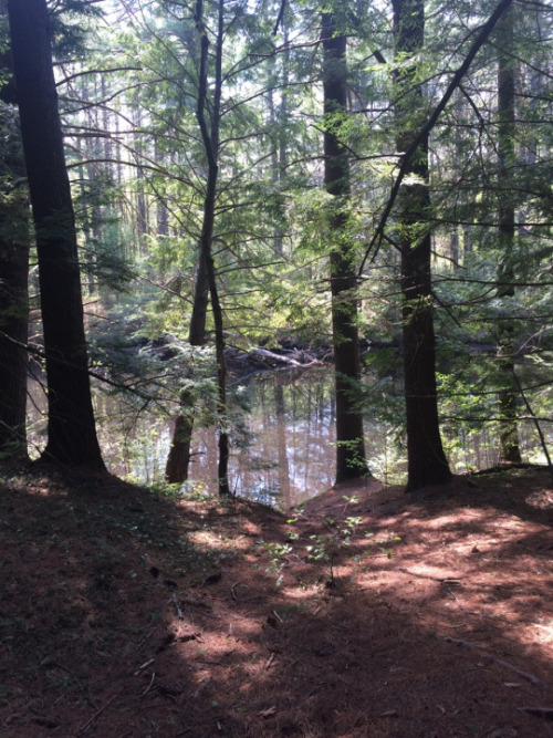 wickedshit666:  celesticos:  Same spot. Years and seasons apart 🍃  Wow