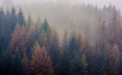 ponderation:  Lakeland Low Pressure Autumn by Nigel Hudson   