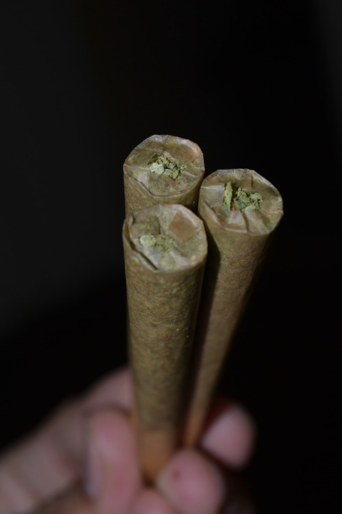 mauiw0wie:  Sesh with Nick   