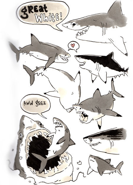 sketchshark:  Shark Week Sketchbookery 2!! Basking shark, bonnet head shark, and of course the Great White Shark. 