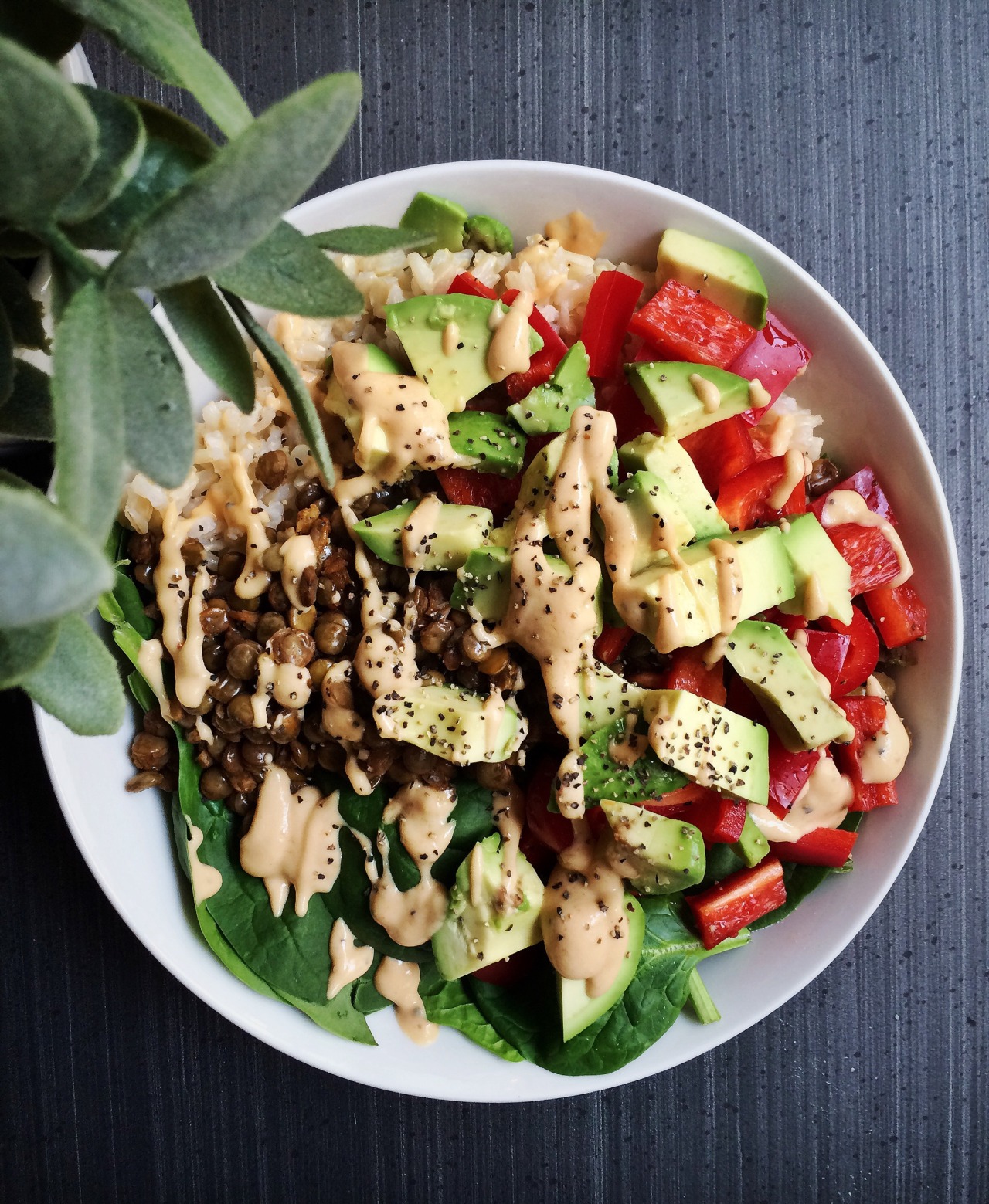 kate-loves-kale:  Lunch time 👅 a bed of baby spinach with brown rice, green lentils,