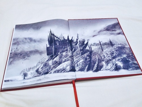 manicpixiedreamdragon: abandonedmarionette: More stunning illustrations from Harry Potter and the So