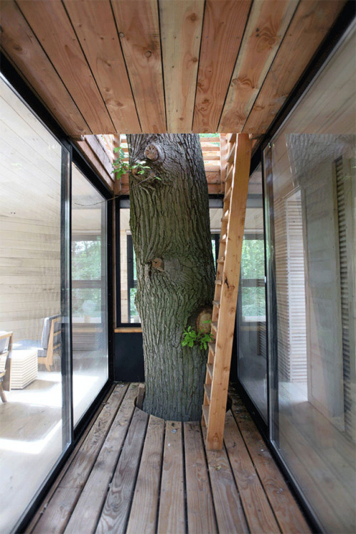 archatlas:ORIGIN Tree HouseAtelier LAVIT have designed the ORIGIN Tree House for their clients in Fr