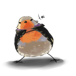 kuroburapi:  birb Robin