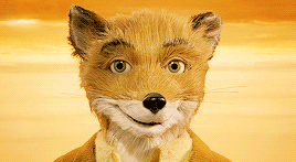 Why Did You Lie To Me? Because Im A Wild Animal.