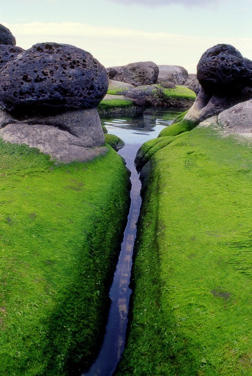 rujinav: Mossy Inlet, Islandia