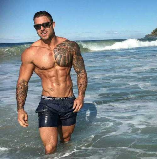 Adonis Files
