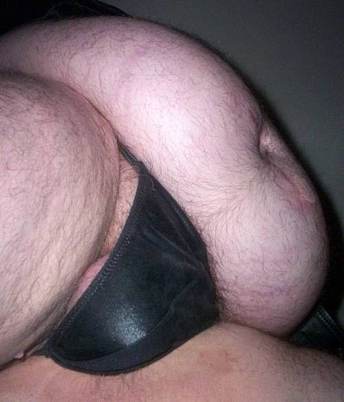 Hollandbear