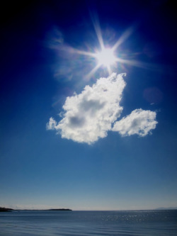 mistymorningme:Two falling stars in the day sky. by Nick Kenrick. 