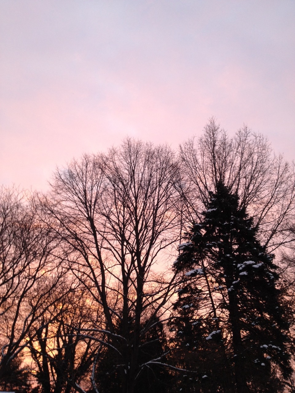 qoax:  every morning the sky is so different 