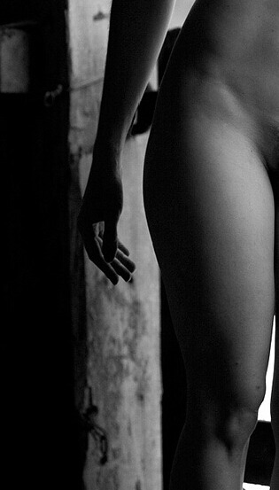 Quello che cerchi