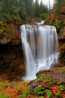 wowtastic-nature:  Untitled by  Brooks Crandell on 500px.com 