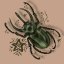 brainbeetlebozo