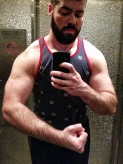 irontemple:  Today’s muscles brought to