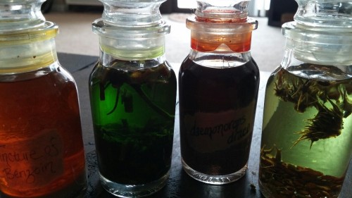 cobymichaelhair:Benzoin, belladonna, dragons blood and datura tinctures.Yikes who do you plan on mur