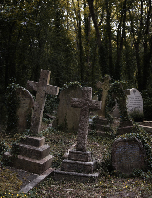 dariaendresen: Highgate cemetery, London#cemetery #highgate #london #uk #gothic #peaceful #sanctua