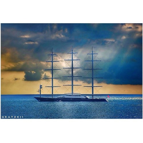 theyachtguy:  “MALTESE FALCON” • Photo By @_katzkii  The bird of prey, at rest.