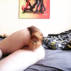 diaryof-alittleswitch:  gingers-jesus-and-darklords: Can’t get over the fact I actually have my very own tail - I’m a real kitten!   I want to see the comforter and pillow covers. Do they make them for Queen size beds? Cute tail btw