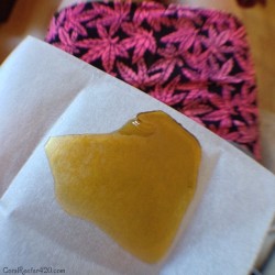 coralreefer420:  Happy Shatterday!! Terp X from iMedz looking so good, my amazing MHB skirt in the background.