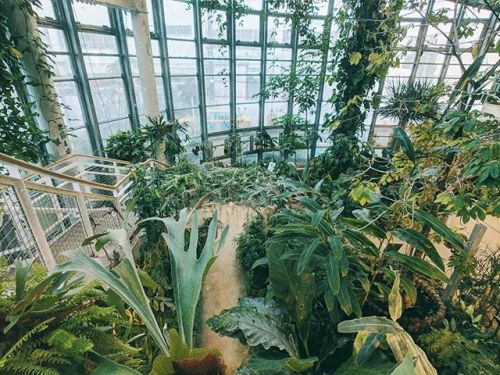 A little oasis hidden away in Shibuya. bit.ly/2TeOl0l