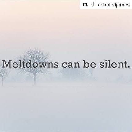 #Repost @adaptedjames (@get_repost)・・・Meltdowns are often just known as the loud thrashing about scr