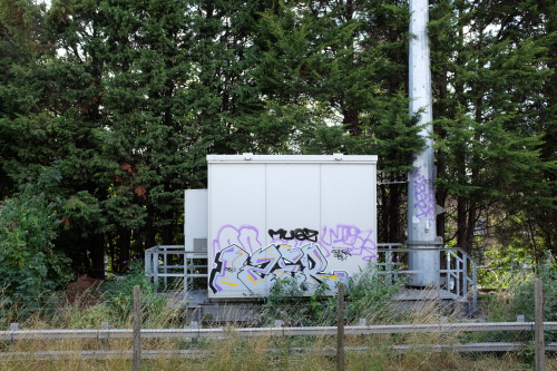 Tag SE24
