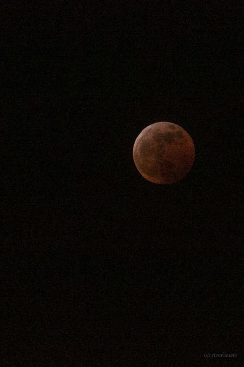 The Super Blood Wolf Moon Of 2019. Grainy Shots, But Wow, Gorgeous To Watch This Unfold.