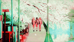 ayanime:Tamako Market Scenery | Cherry Blossoms