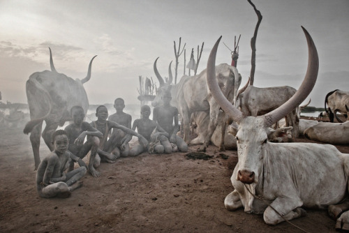 indigenouswisdom: MundariSouth SudanThe Mundari are Nilotic cattle-herders located roughly 75 kilome