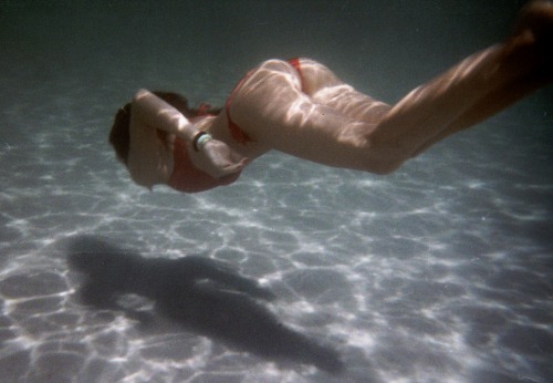 aurorafotografi:  SummerShot #58 © Giulia Bersani 