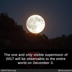 mindblowingfactz:    The one and only visible