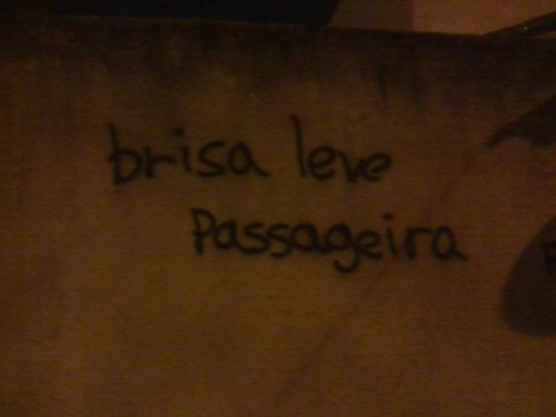 ORDEM E DESORDEM