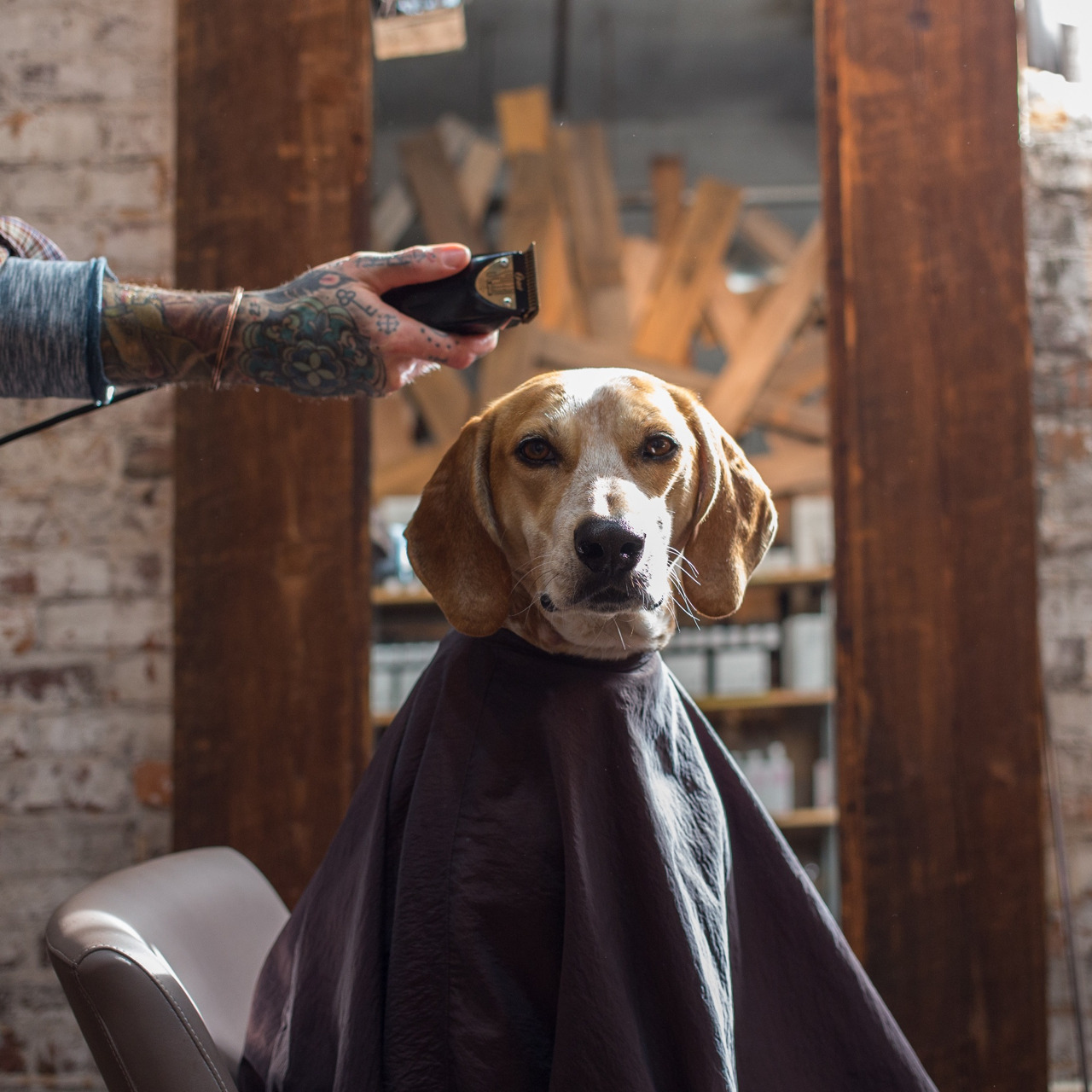 beeslikehoney:  maddieonthings:  Maddie’s first haircut   Maddie is fast becoming