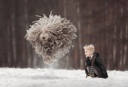 thenatsdorf:Little boy and his big dog. [via