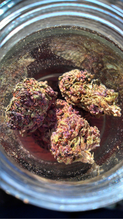 meeow-xo: suckitupandstartover:  beliefsatindica:  Purple  god that looks fantastic  instagra