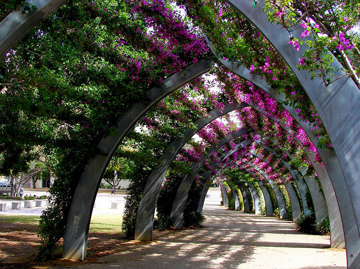 boredpanda:15+ Of The World’s Most Magical Streets Shaded By Flowers And Trees